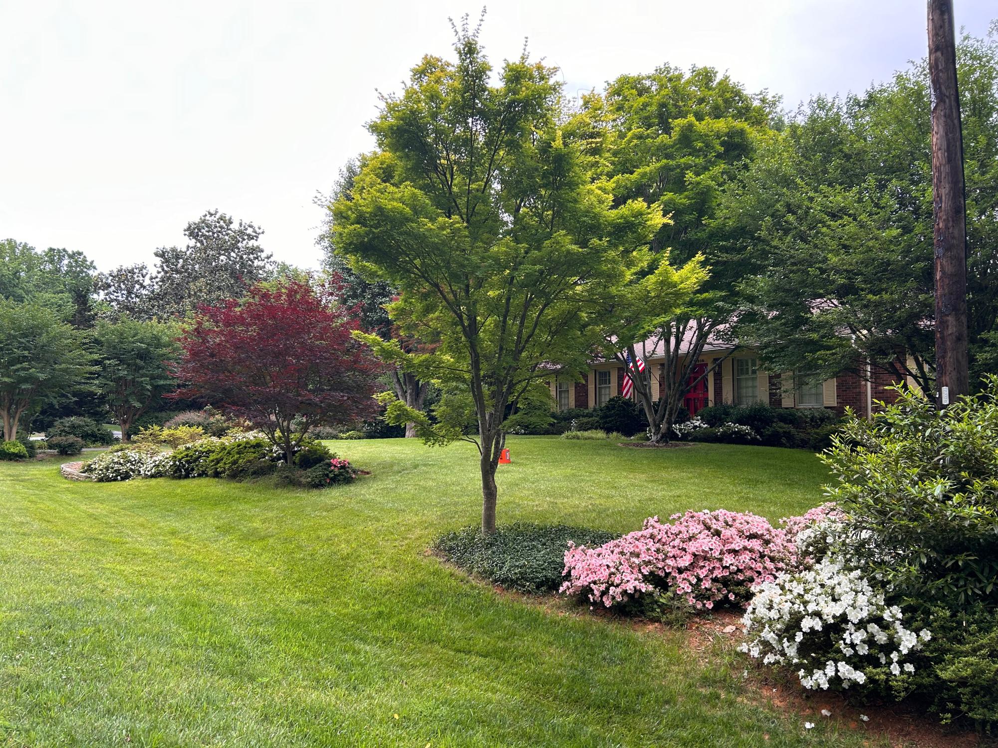 Manicured lawn with colorful flowers and trees