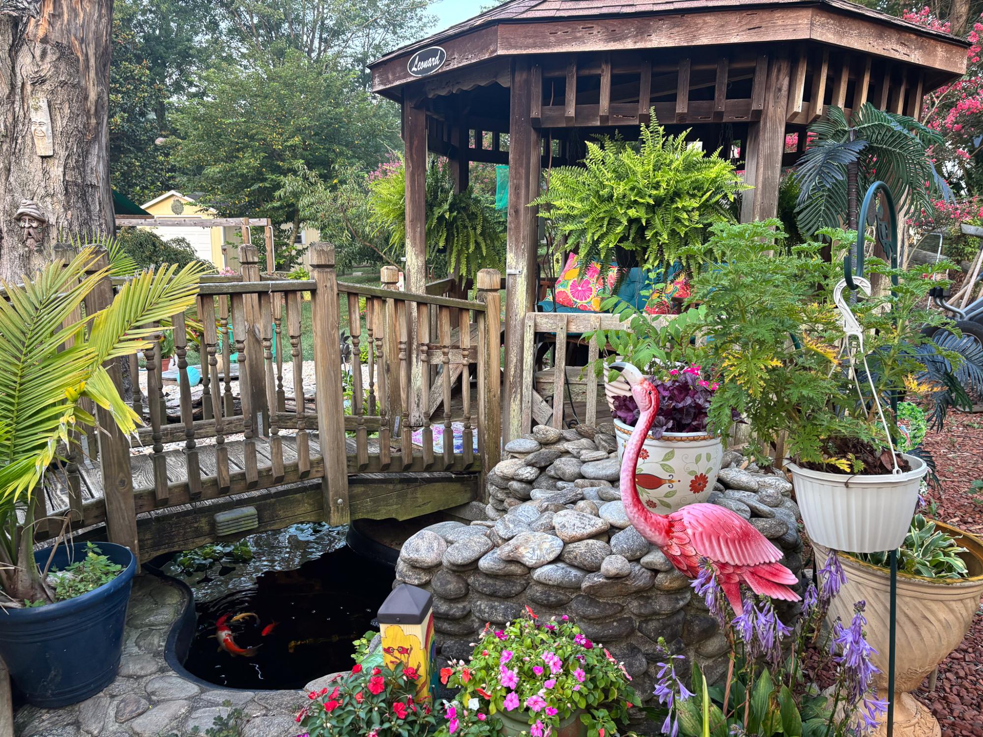 A gorgeous tropical scene of a gazebo connected to a bridge over a koi pond is surrounded with greenery.