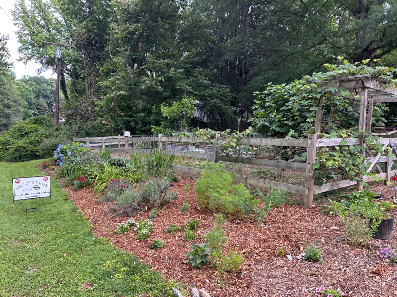 A beautiful luscious lawn surrounds an island of greenery with a wooden fence running through it.