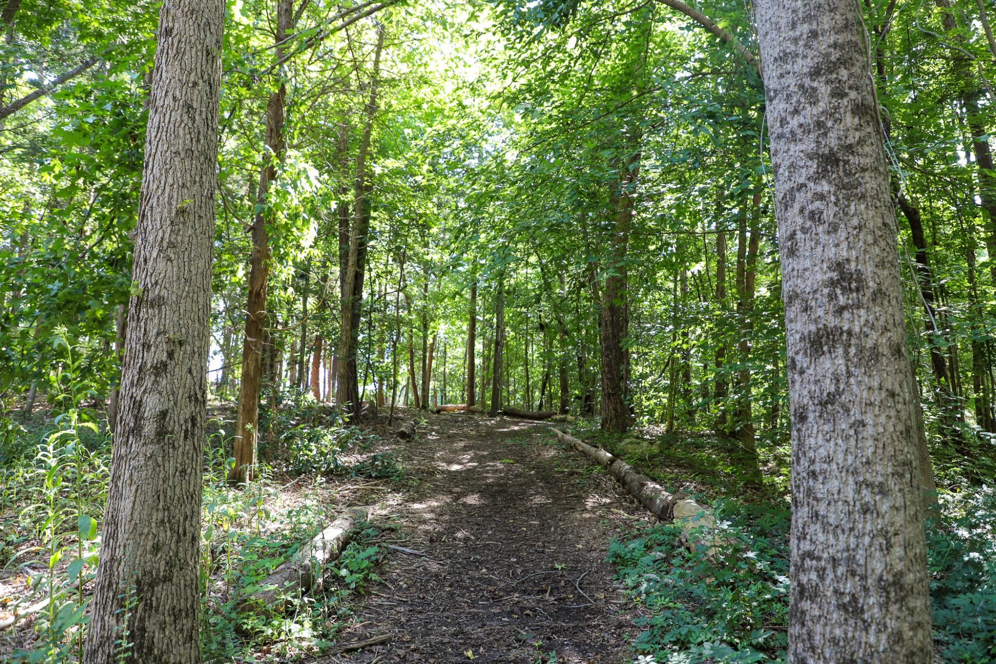 Jack Warren Park nature trail